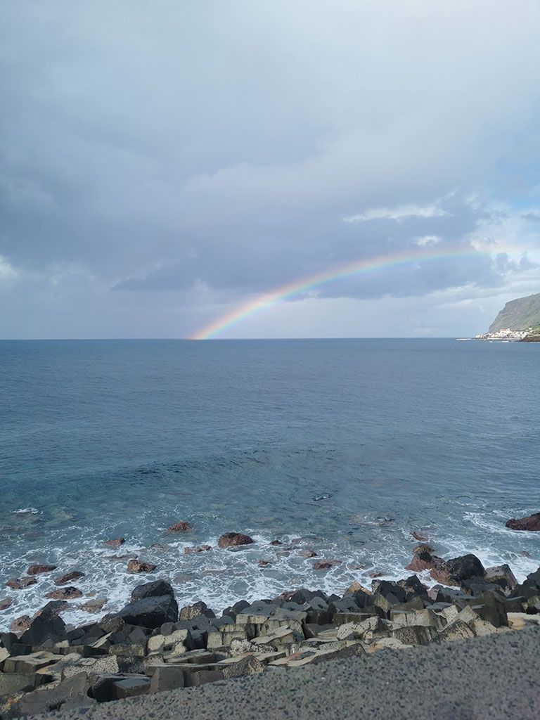 Madeira South Coast Tour